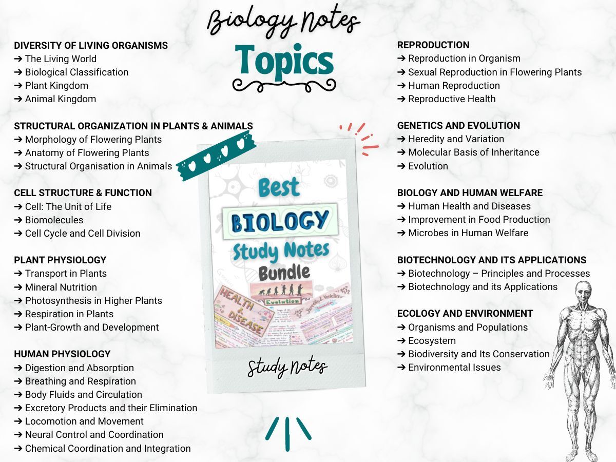biology aesthetic notes index or topics of newton desk