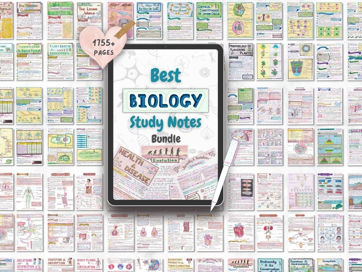 biology aesthetic notes sample 2 with multiple small notes pages texture newton desk