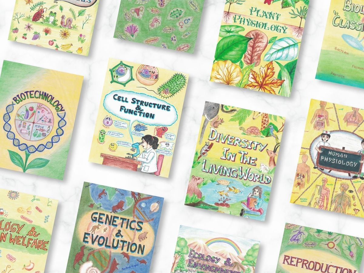 biology aesthetic notes bundle sample 3 with multiple notes small pages in inclined texture of newton desk