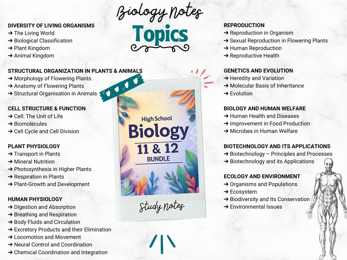Physics Chemistry Math Biology (PCMB) Aesthetic Notes PDF Bundle | for High School Grade 11th and 12th - Image 5