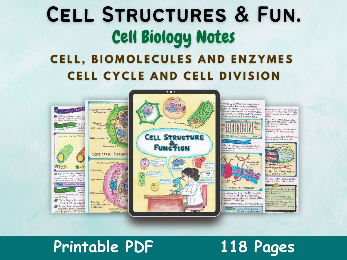cell structure and function biology aesthetic notes for high school grade 11 first cover image in blue of newton desk