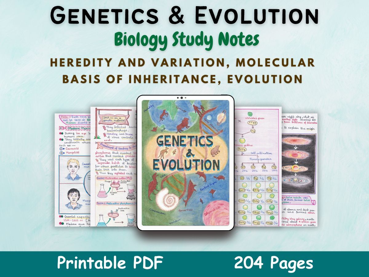 genetics and evolution biology aesthetic notes for high school grade 12 first cover image in blue of newton desk