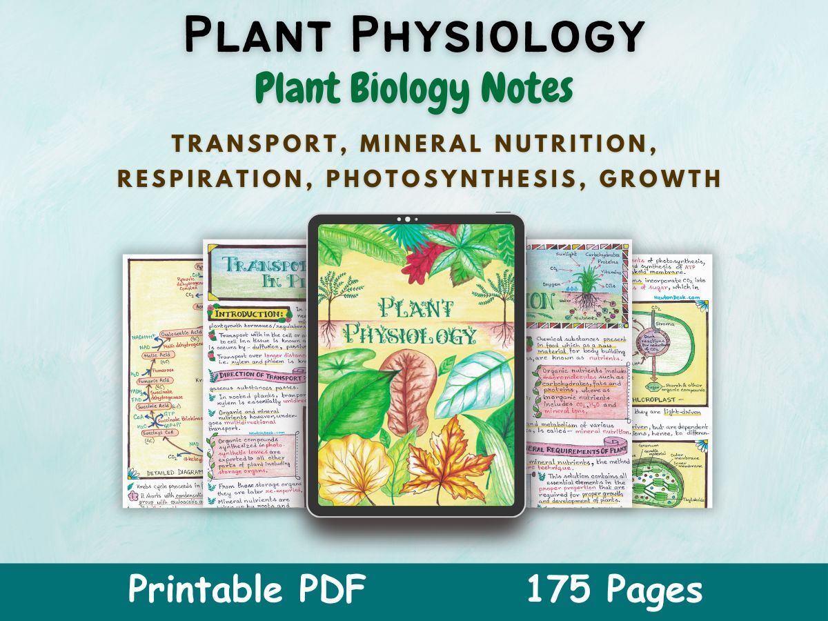 plant physiology biology aesthetic notes for high school grade 11 first cover image in blue of newton desk